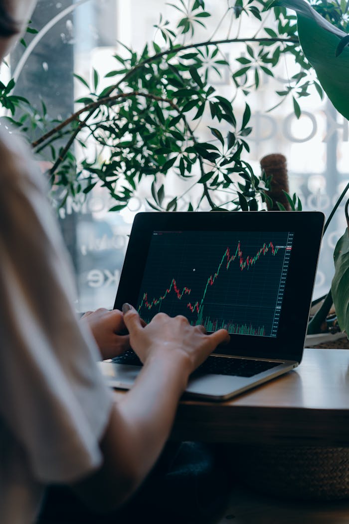 Mastering the First Impression: Your intriguing post title goes here An individual analyzing stock market trends on a laptop in a cozy indoor setting with plants.
